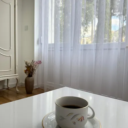 Terzibasin Holiday home Sarajevo